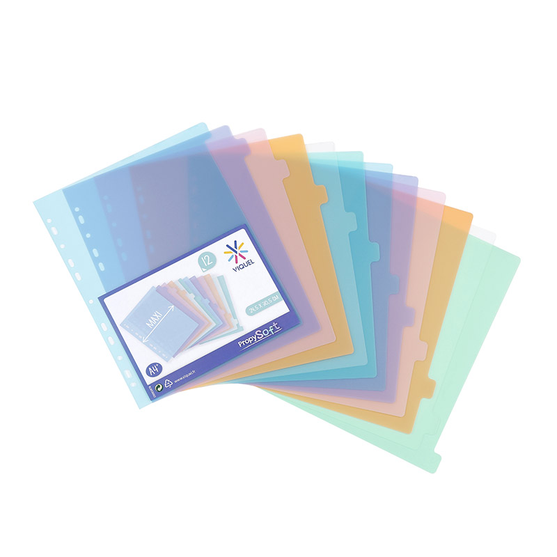 Intercalaires Petit Format Intercalaires Carte A5 Avec 6 Trous Colorés  Classeurs Intercalaires Carton pour Ordinateur Portable-[70] - Cdiscount  Beaux-Arts et Loisirs créatifs