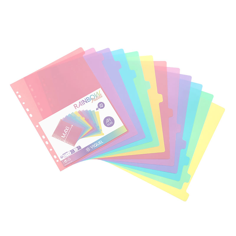 Intercalaires neutres a4 12 positions mylar colore 170g assorti