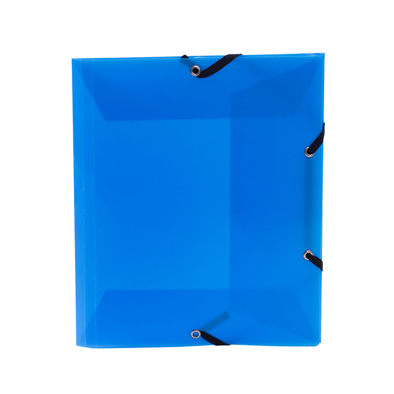 Chemise plastique A4 Propyglass Viquel Polypropylène Multicolore - Chemise  sous-chemise et rabat élastique - Achat & prix