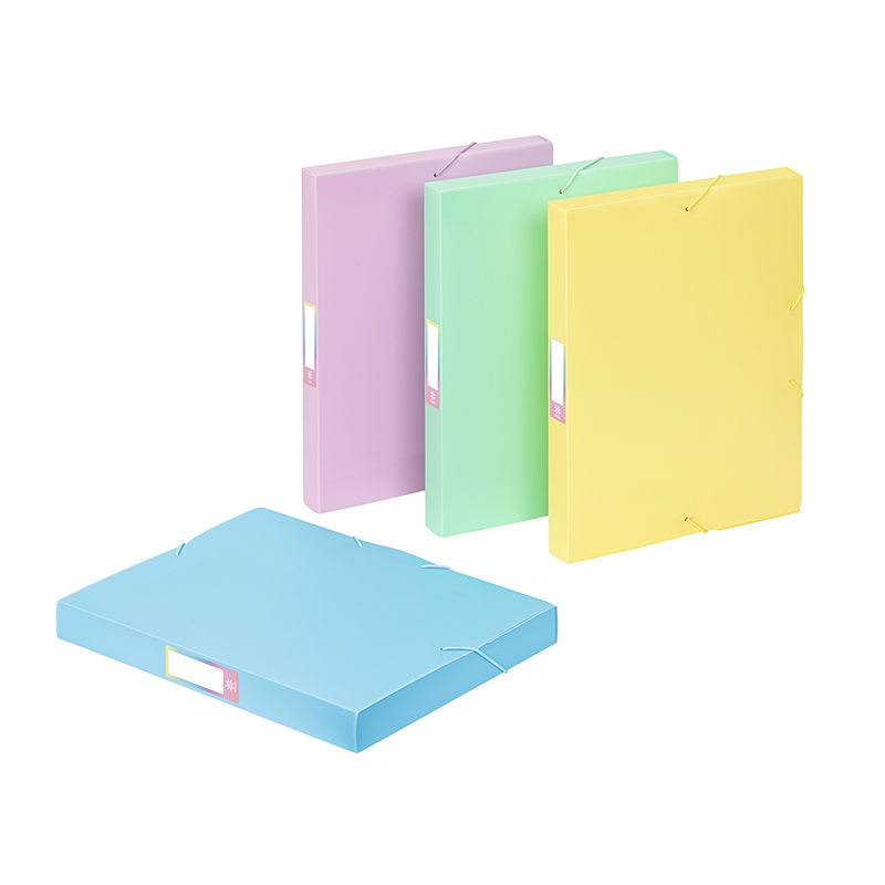 Viquel - Lot de 12 intercalaires en plastique Rainbow Pastel - Maxi format  (24,5x30,5cm) - Pour classeur A4 Maxi format ou classeur à levier - Coloris